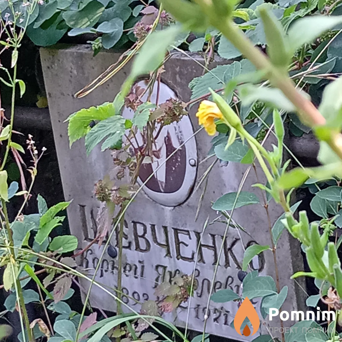 Шевченко Корней Яковоевич