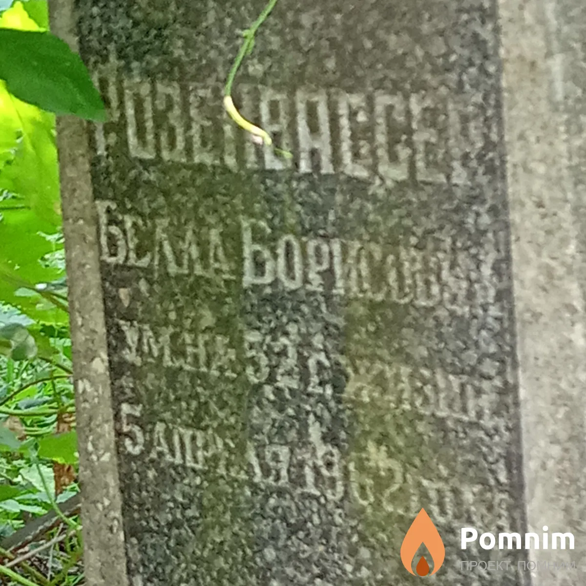 Розенвассер Белла Борисовна