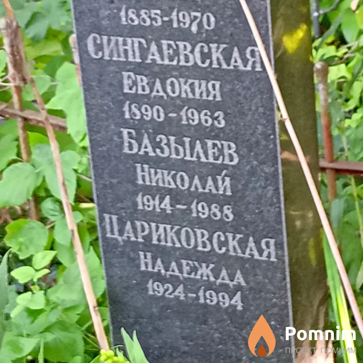 Сингаевская Евдокия