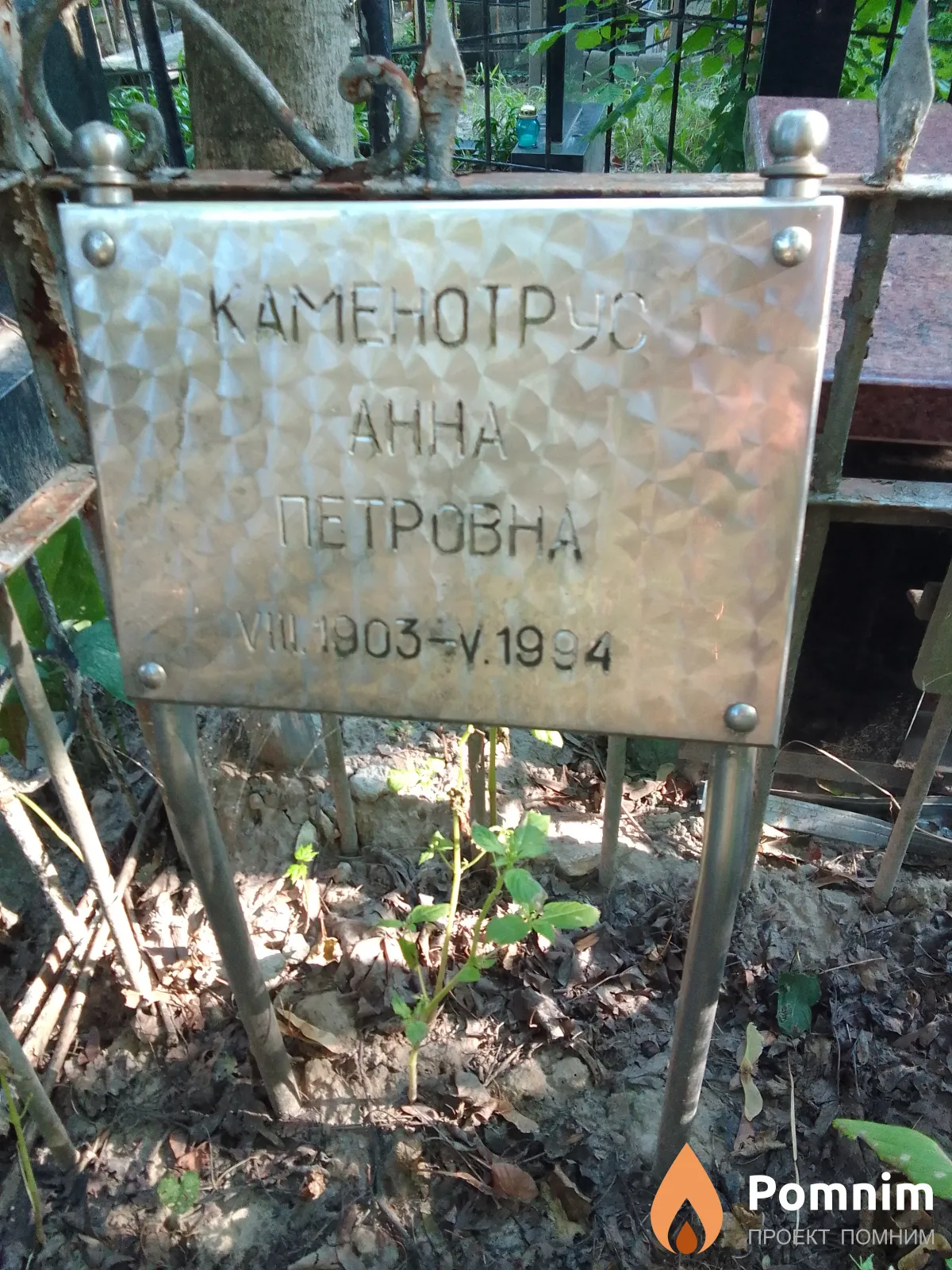 Каменотрус Анна Петровна