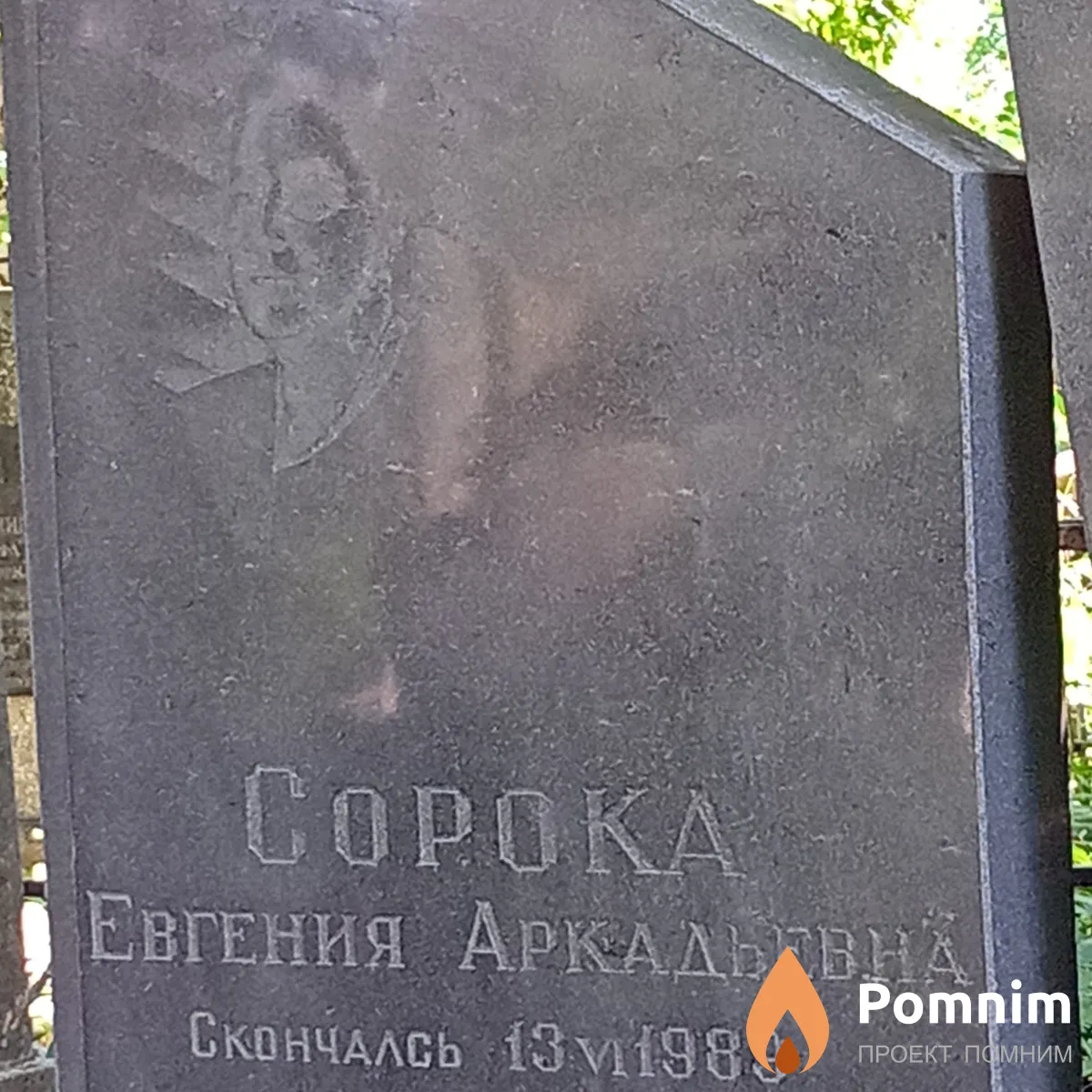 Сорока Евгения Аркадьевна