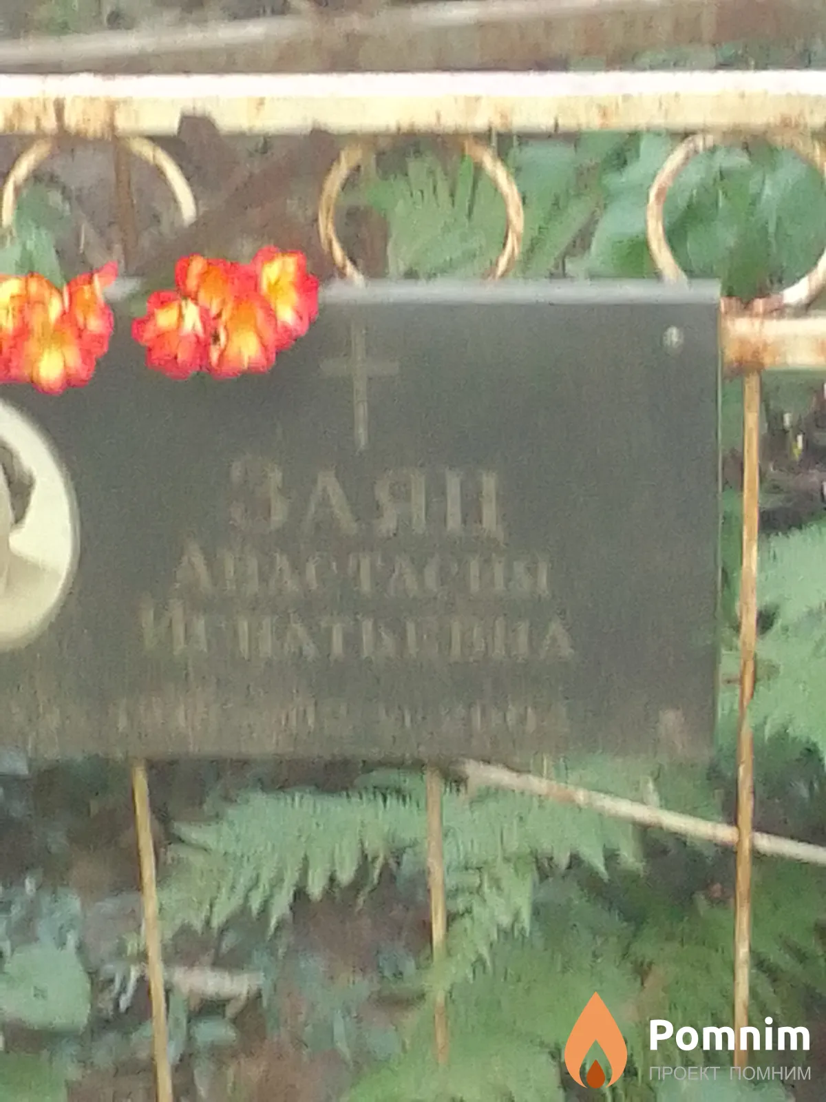 Заяц Анастасия Игнатьевна