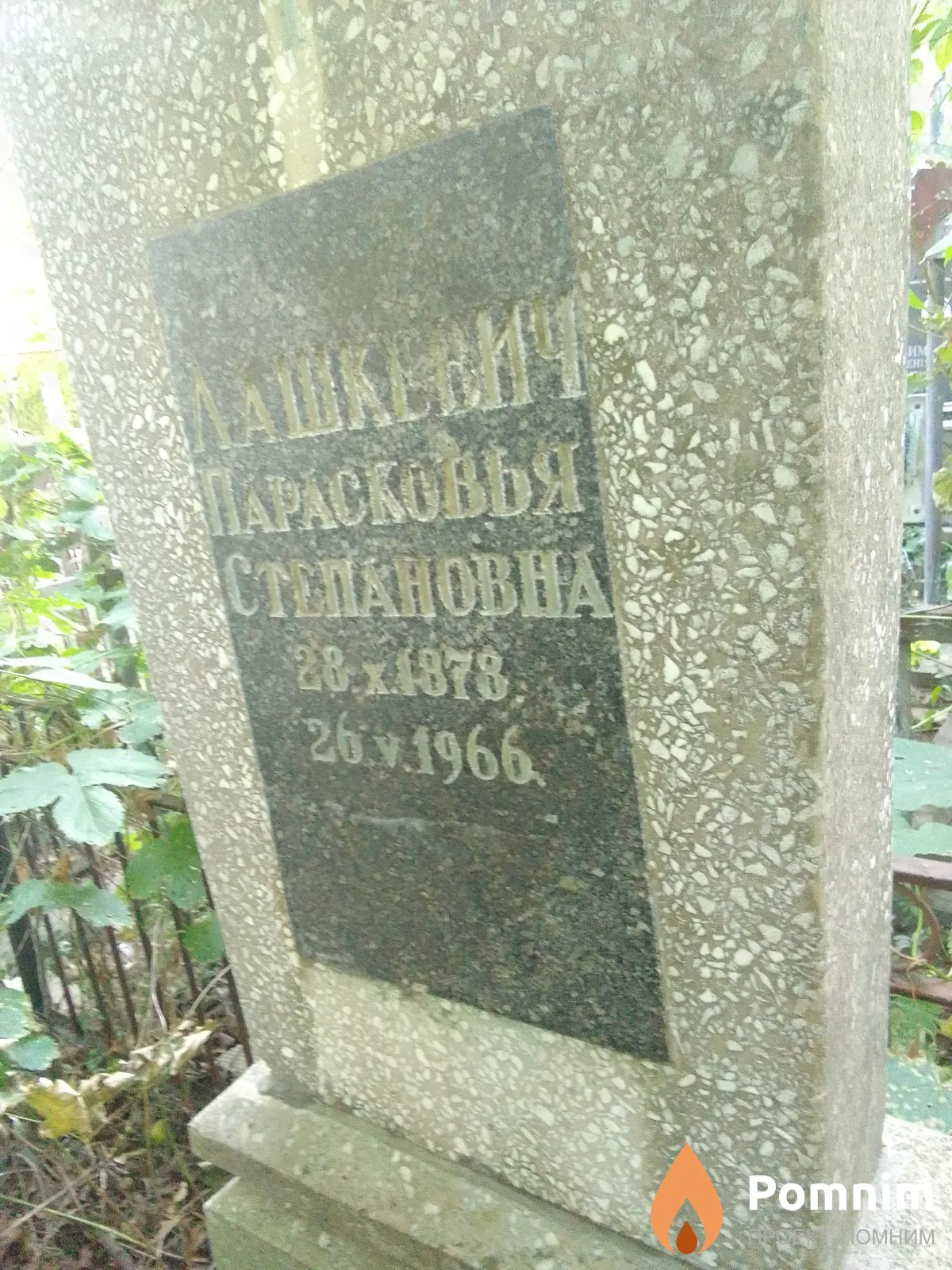 Лашкевич Парасковья Степановна