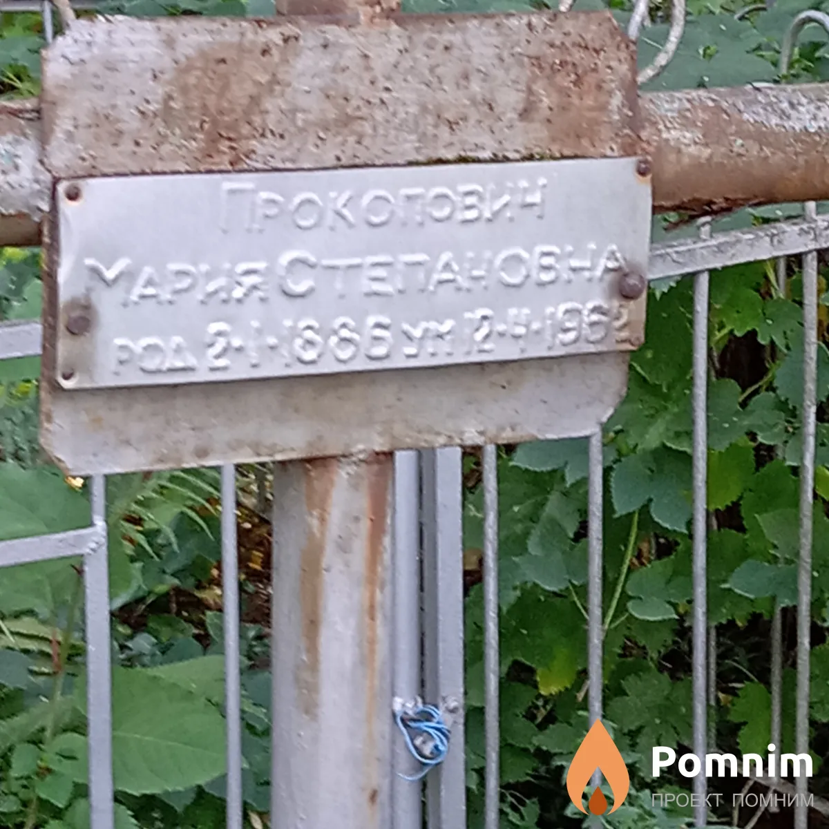 Прокопович Мария Степановна