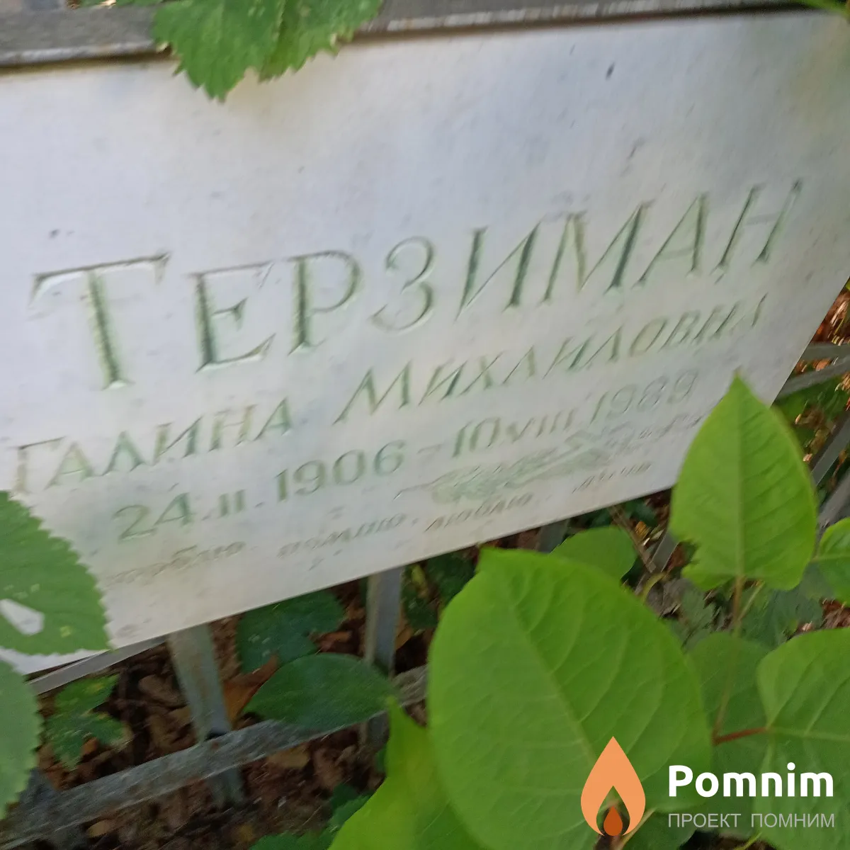 Терзиман Галина Михайловна