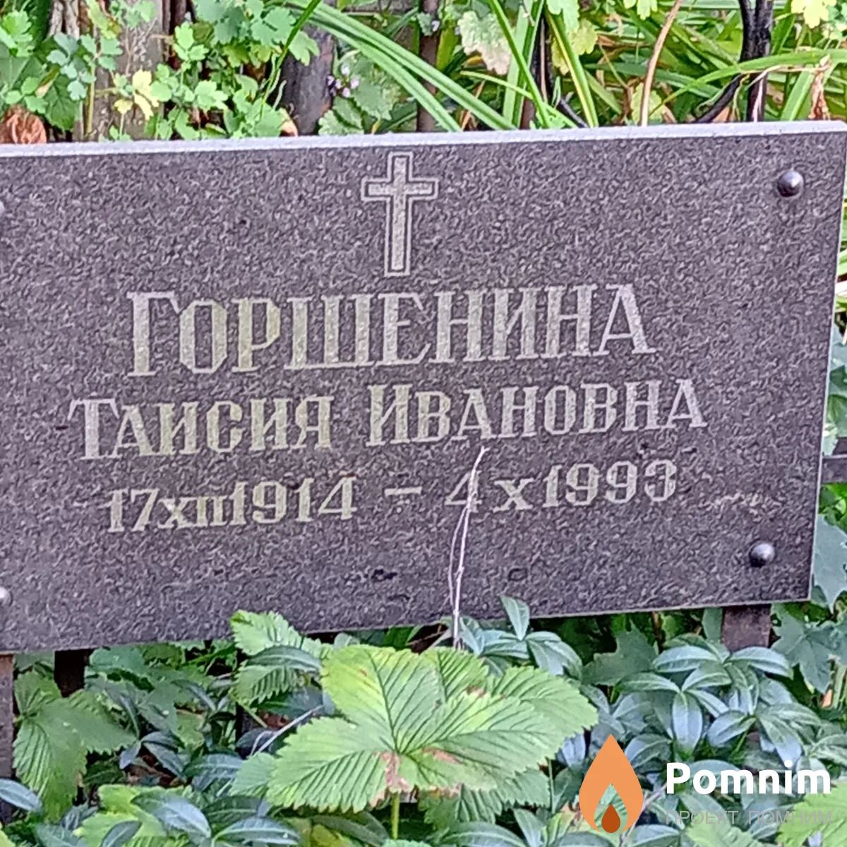 Горшенина Таисия Ивановна