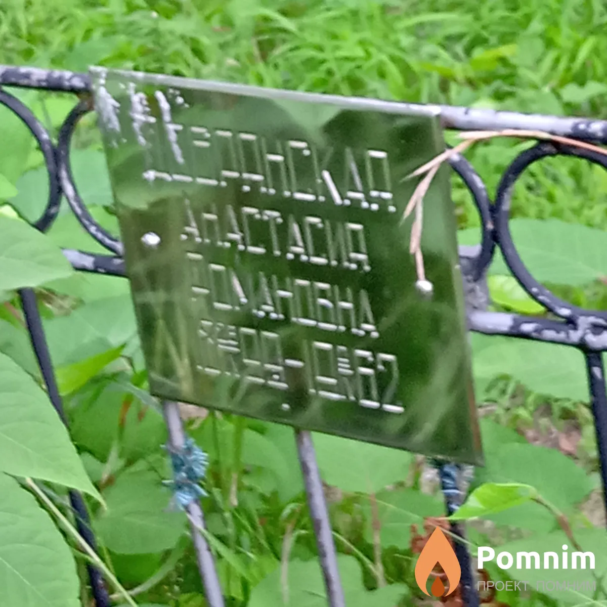 Добранская Анастасия Романовна