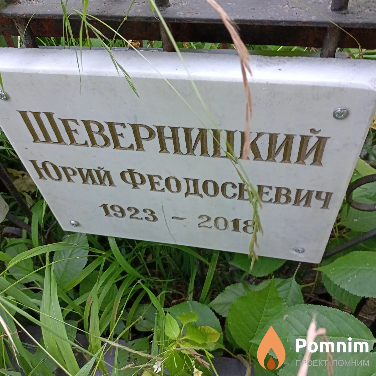 Шеверницкий Юрий Феодосьевич