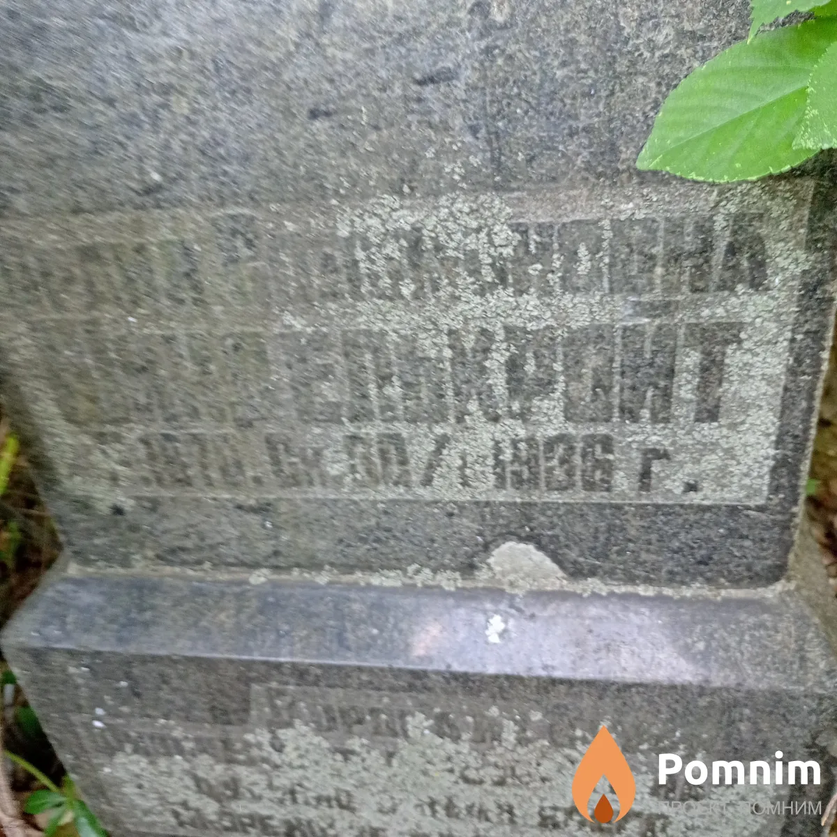 . Франа Шинделькройт