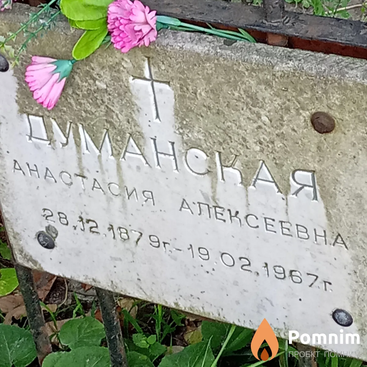 Думанская Анастасия Алексеевна