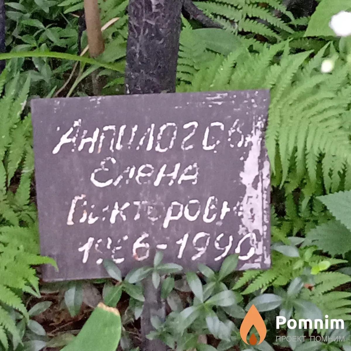 Анпилогова Елена Викторовна
