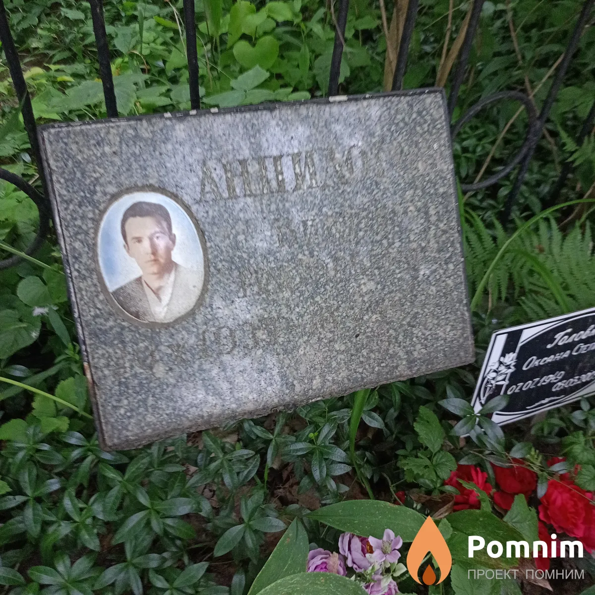 Анпилогов Виктор Григорьевич