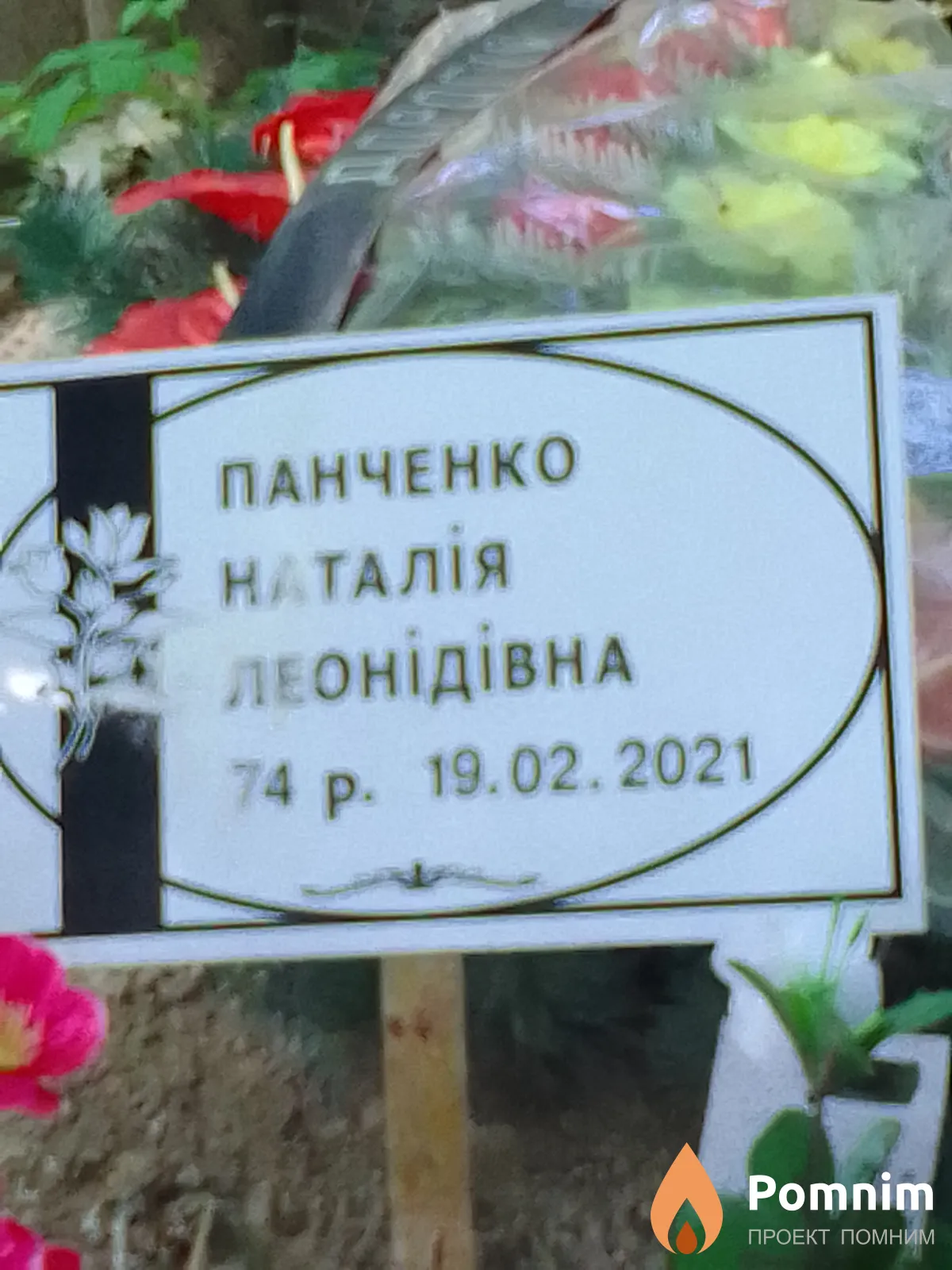 Панченко Hаталія Леонідівна