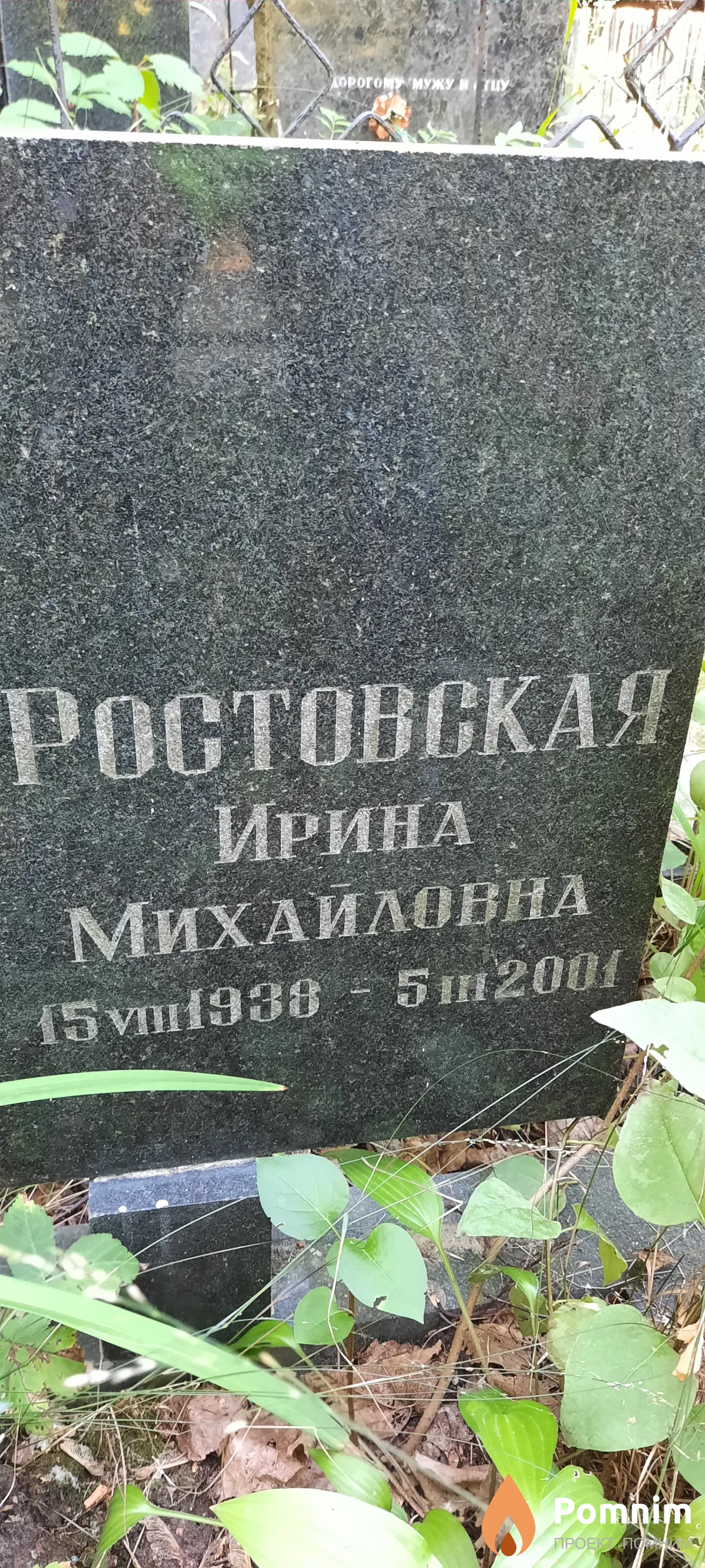 Ростовская Ирина Михайловна
