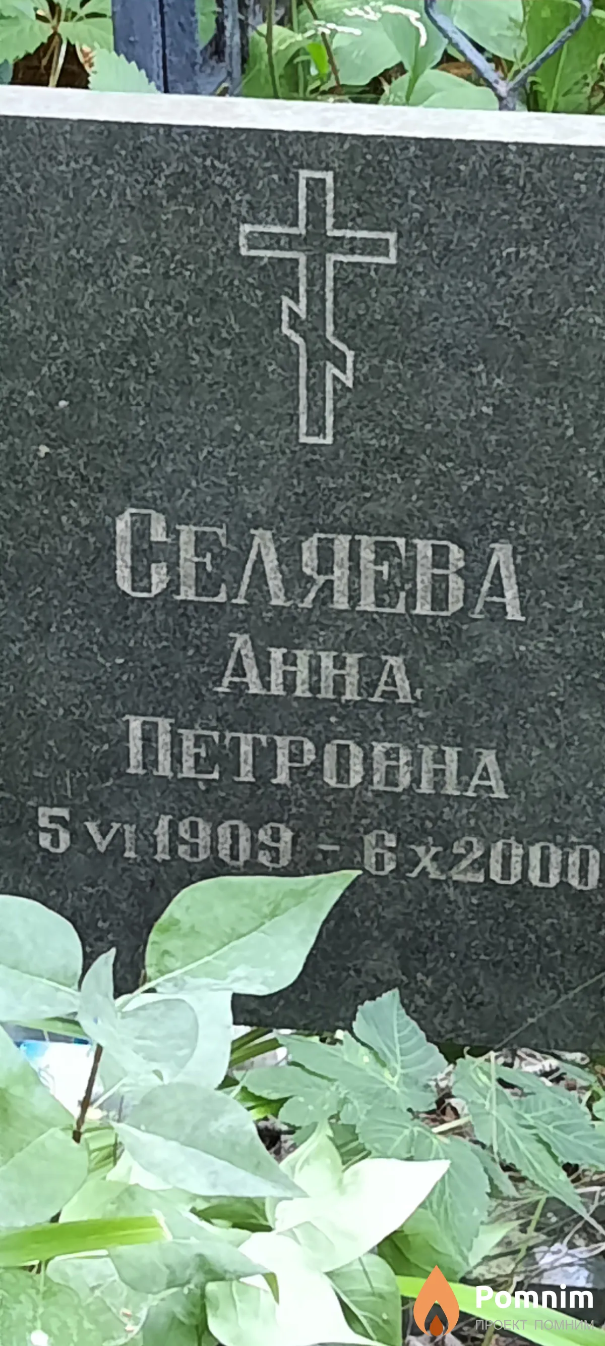 Селяева Анна Петровна