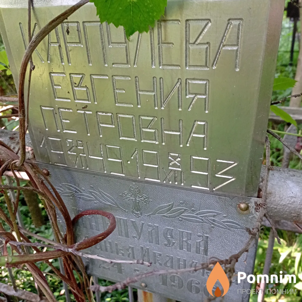 Карпулева Евгения Петровна