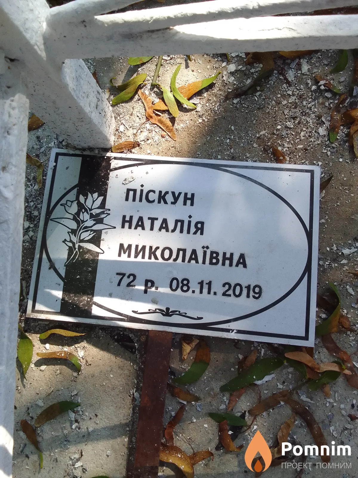 Піскун Наталiя Миколаївна