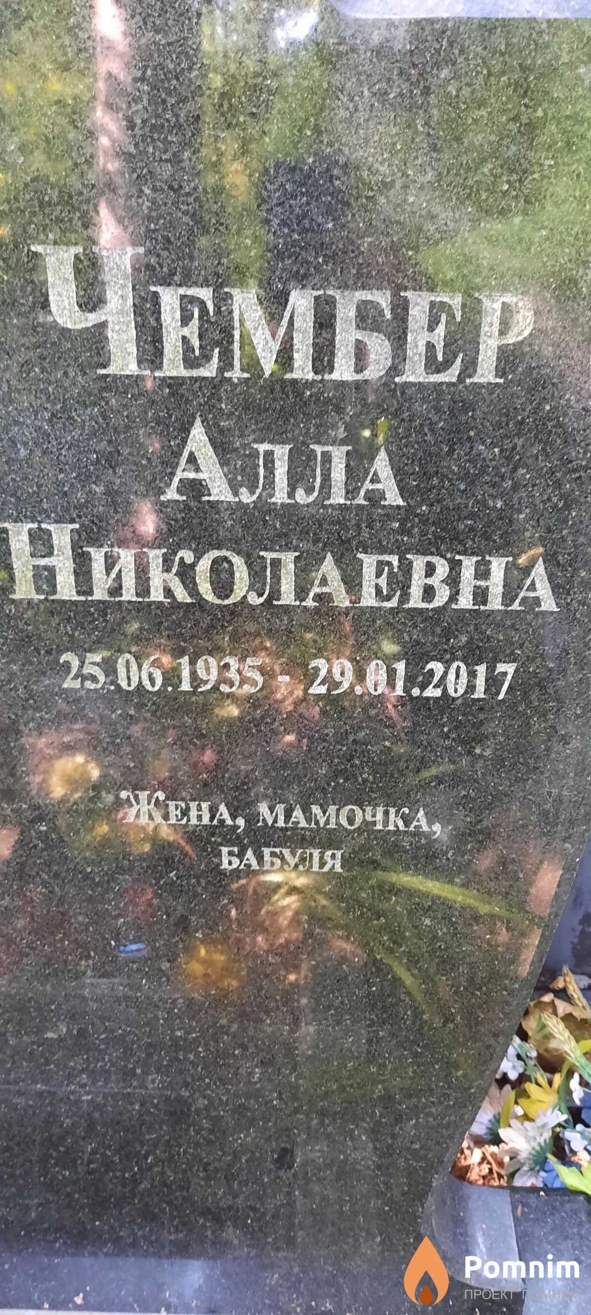 Чембер Aлла Николаевна