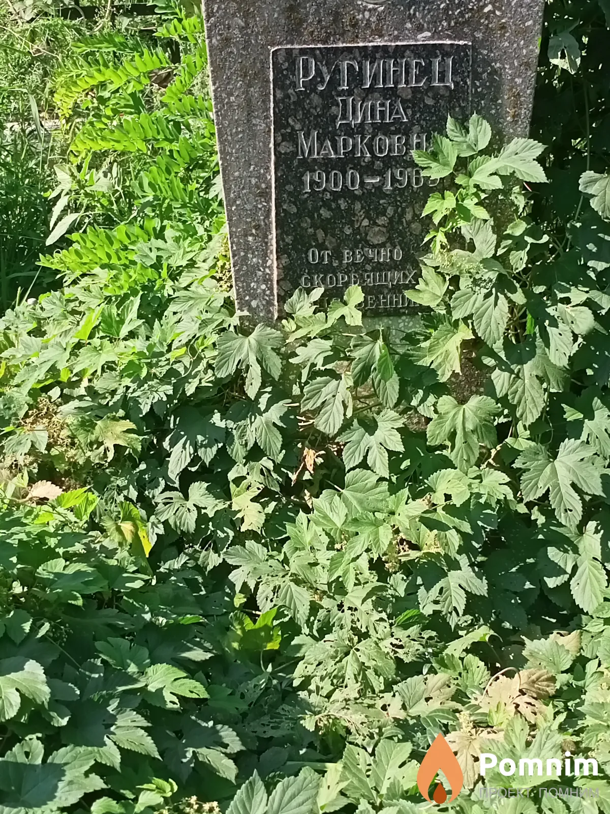 Ругинец Дина Марковна