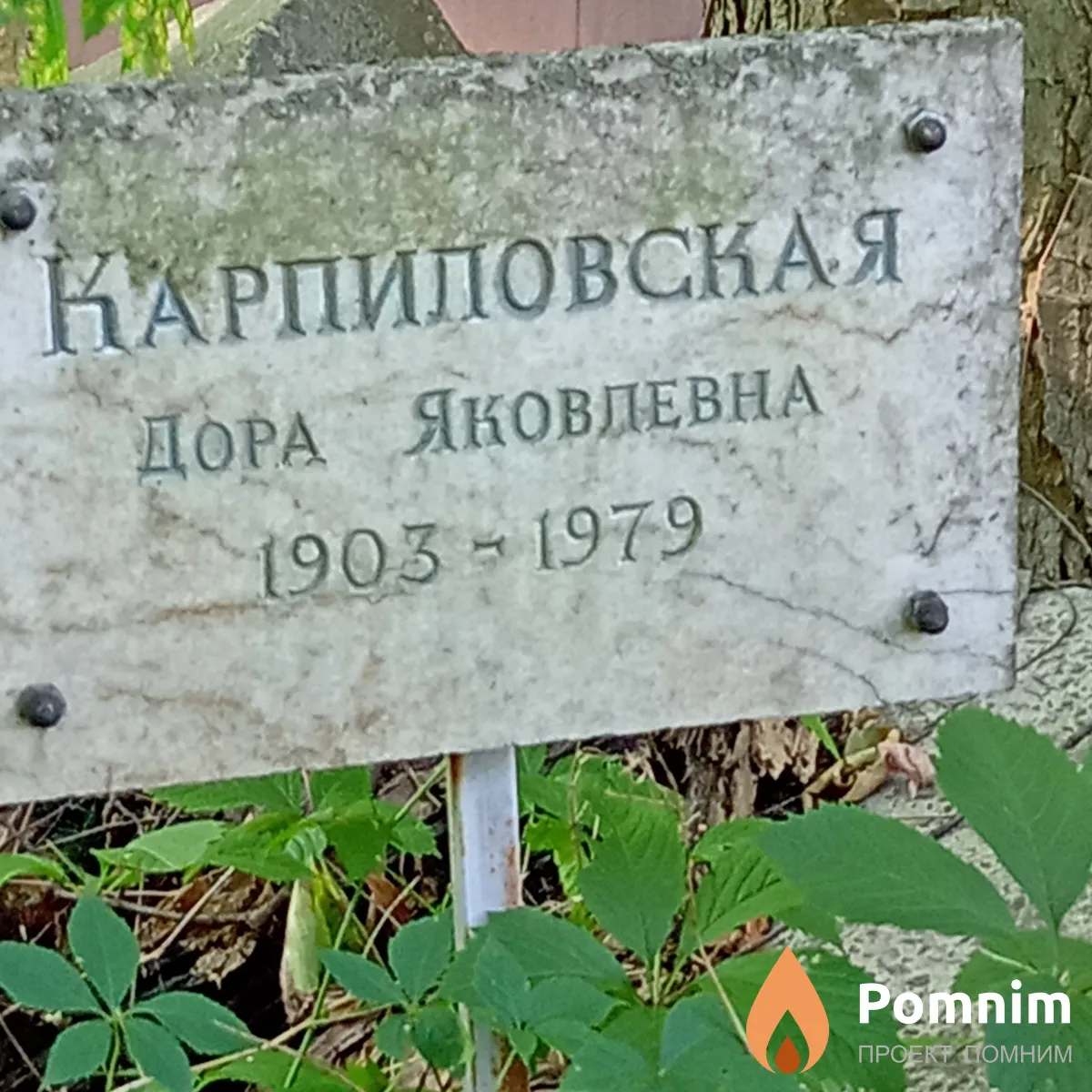 Карпиловская Дора Яковлевна