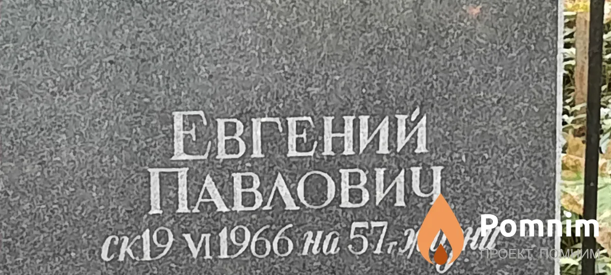 Шульга Евгений Павлович