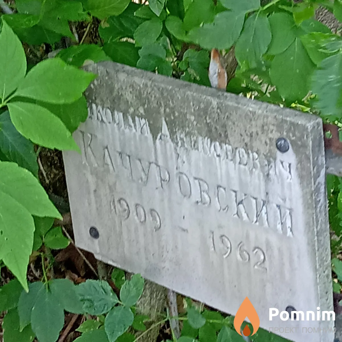 Качуровский Николай Алексеевич