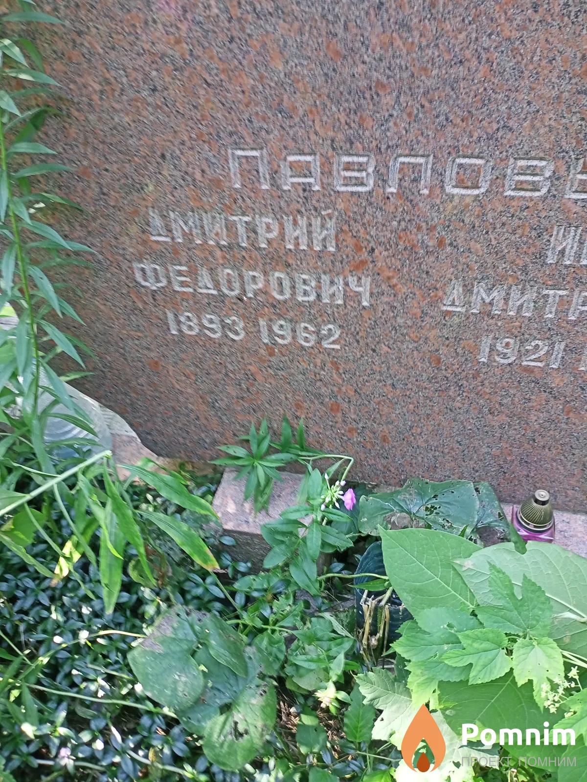 Павлов Дмитрий Федорович