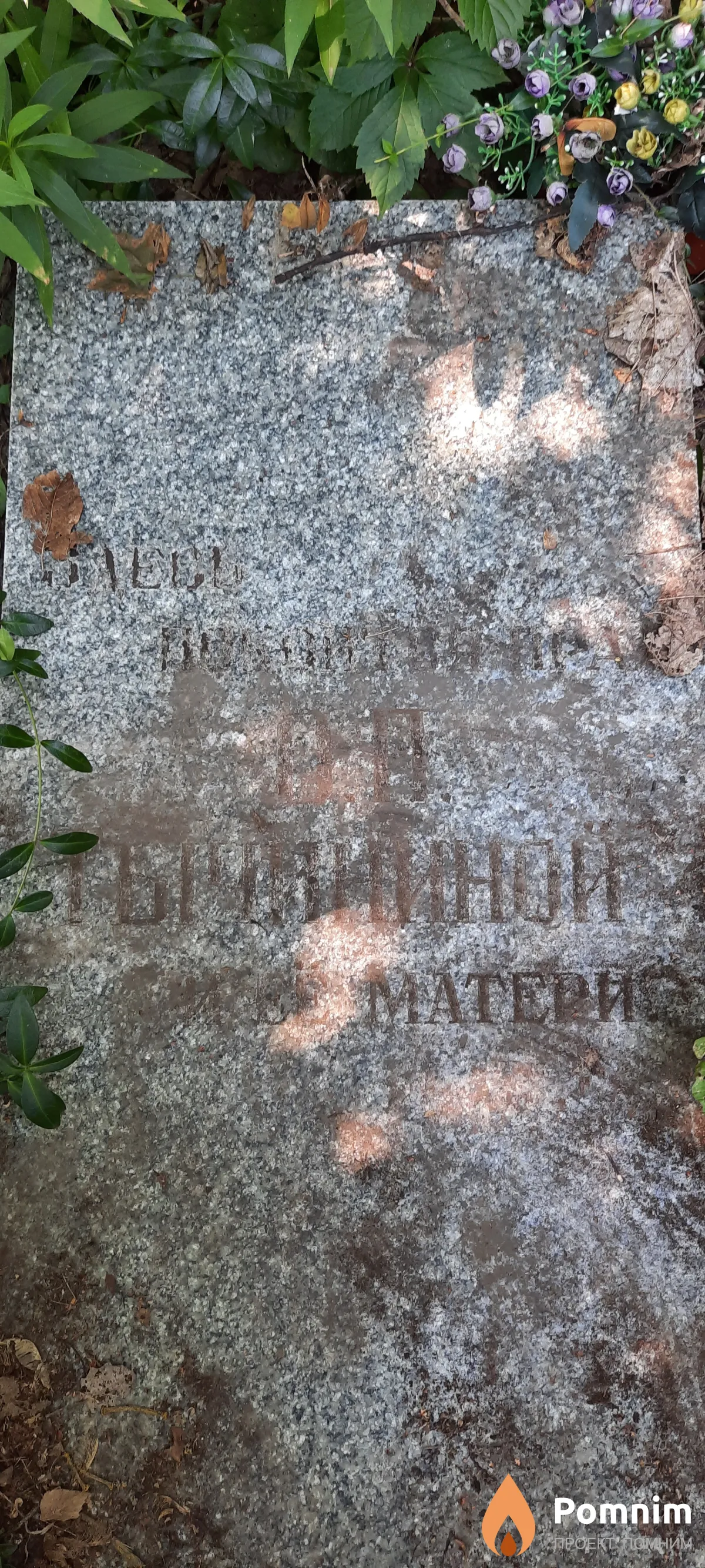 Тычинина О П
