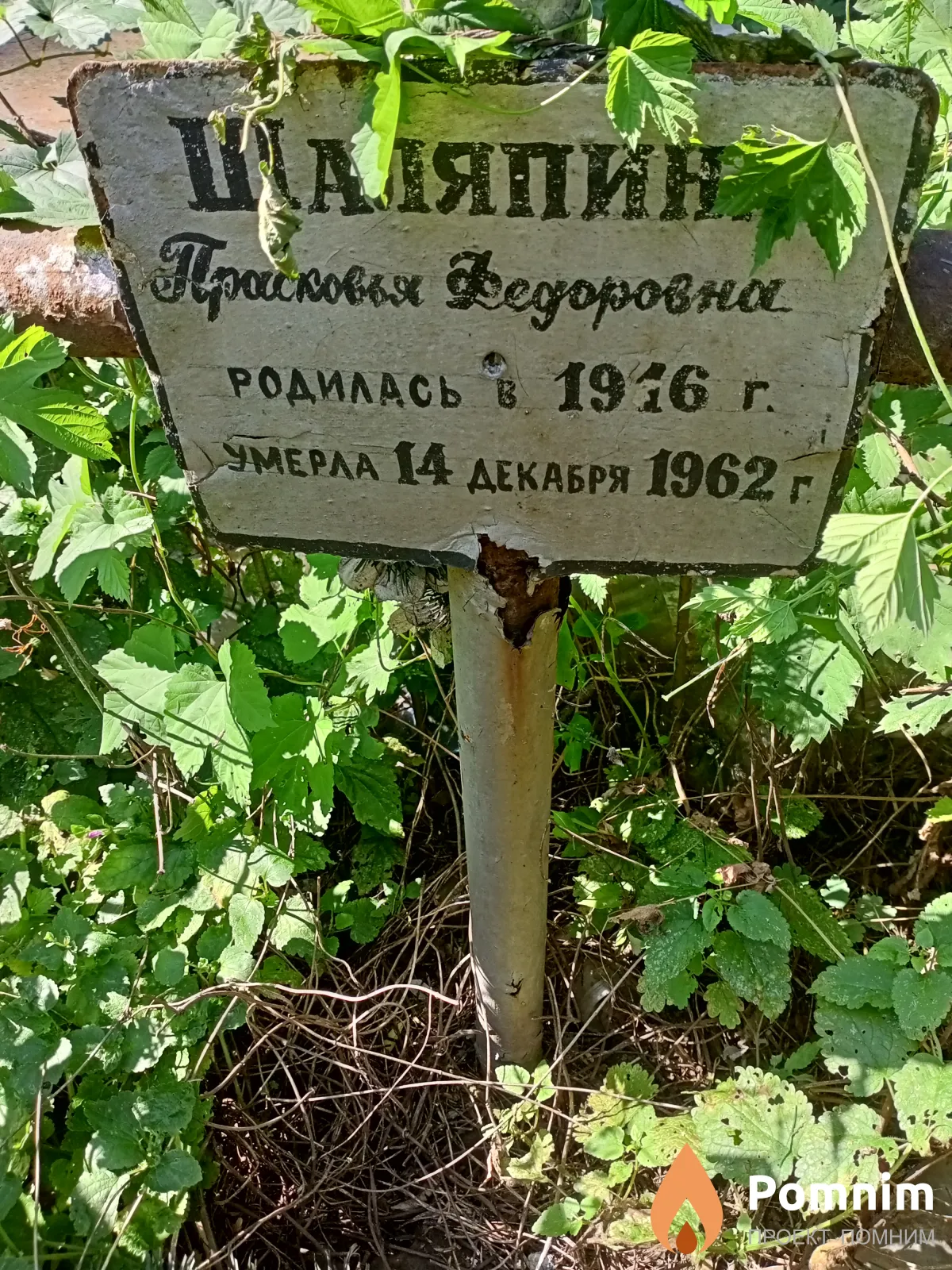 Шаляпина Прасковья Федоровна