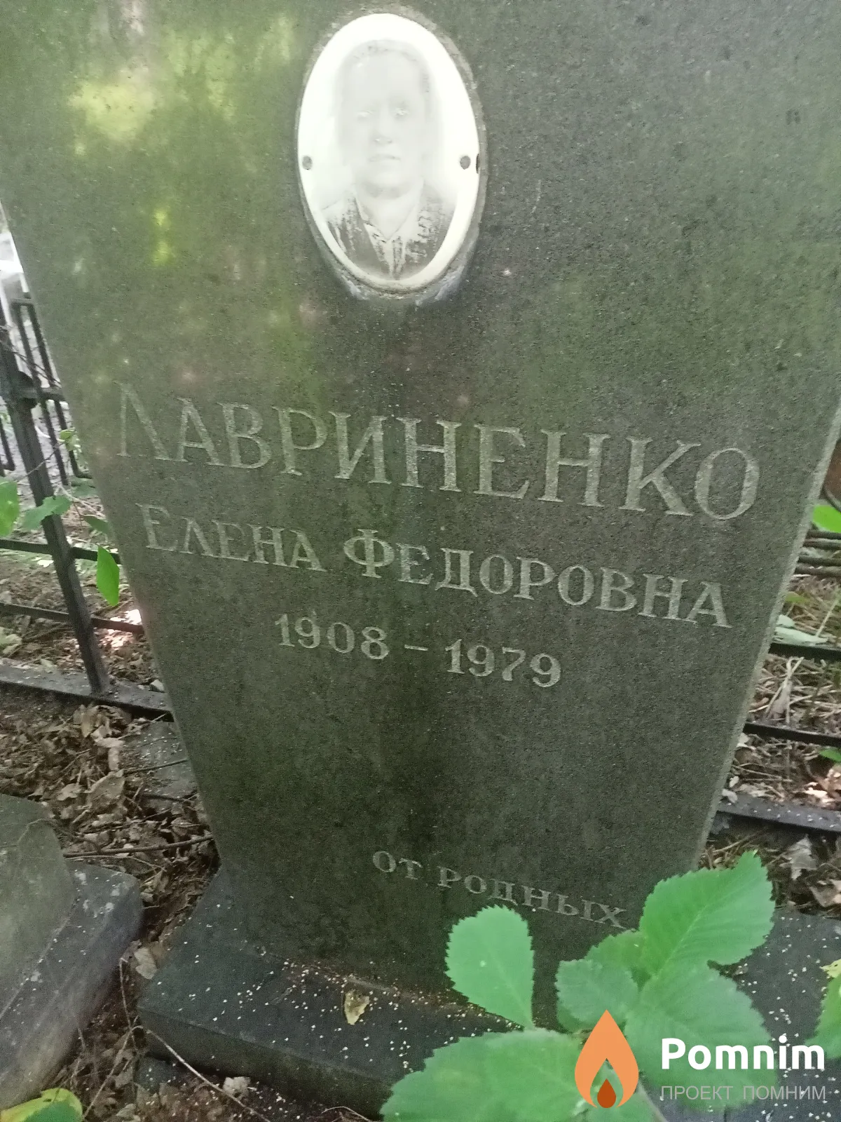 Лавриненко Елена Федоровна