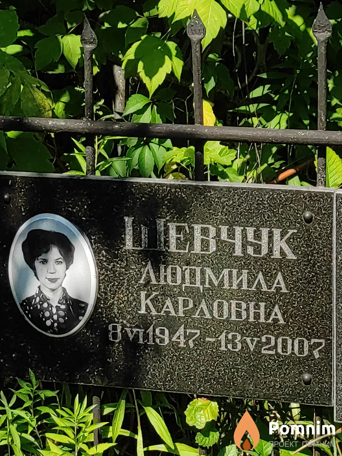 Шевчук Людмила Карловна