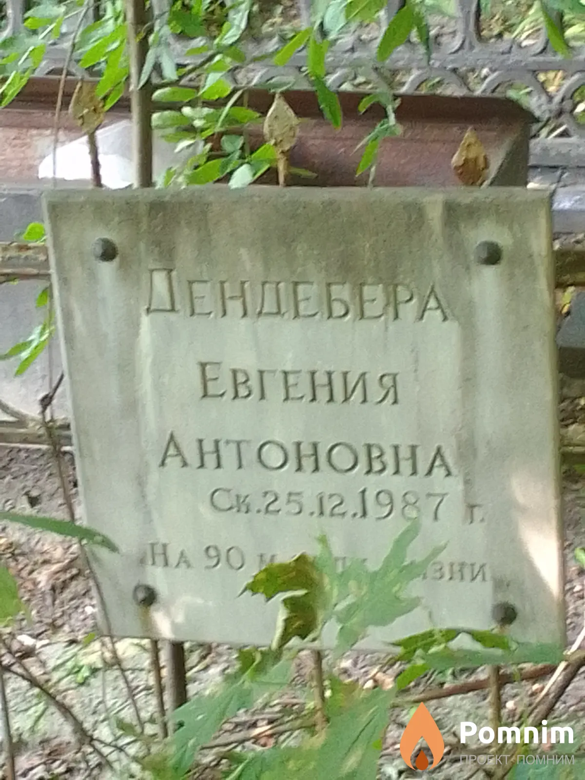 Дендебера Евгения Антоновна