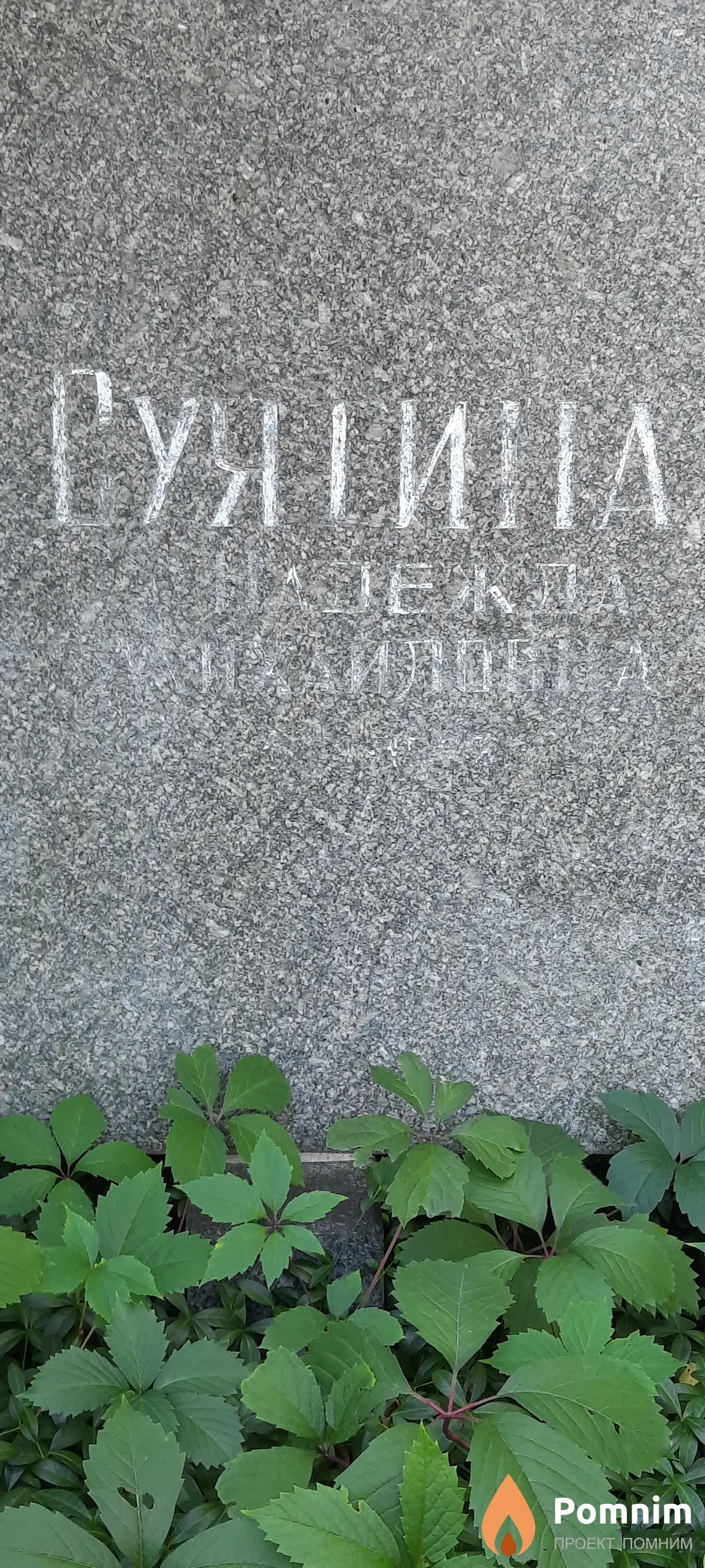 Суятина Надежда Михайловна