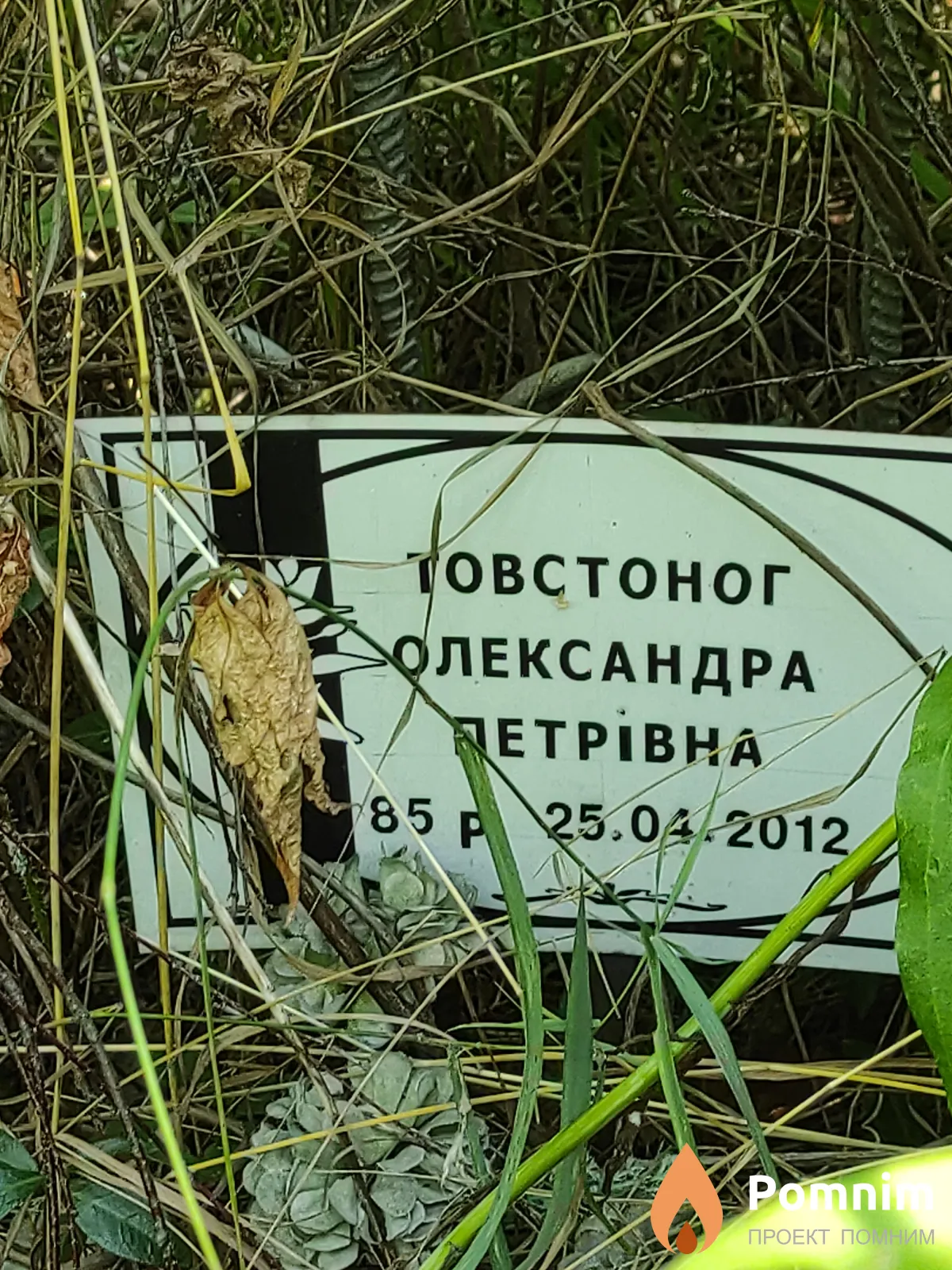 Товстоног Олександра Петрівна