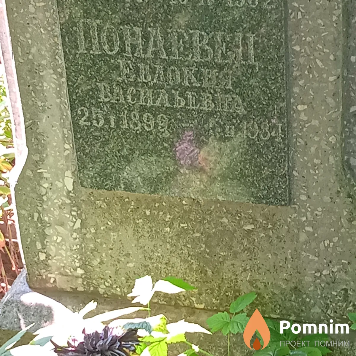 Понавец Евдокия Васильевна