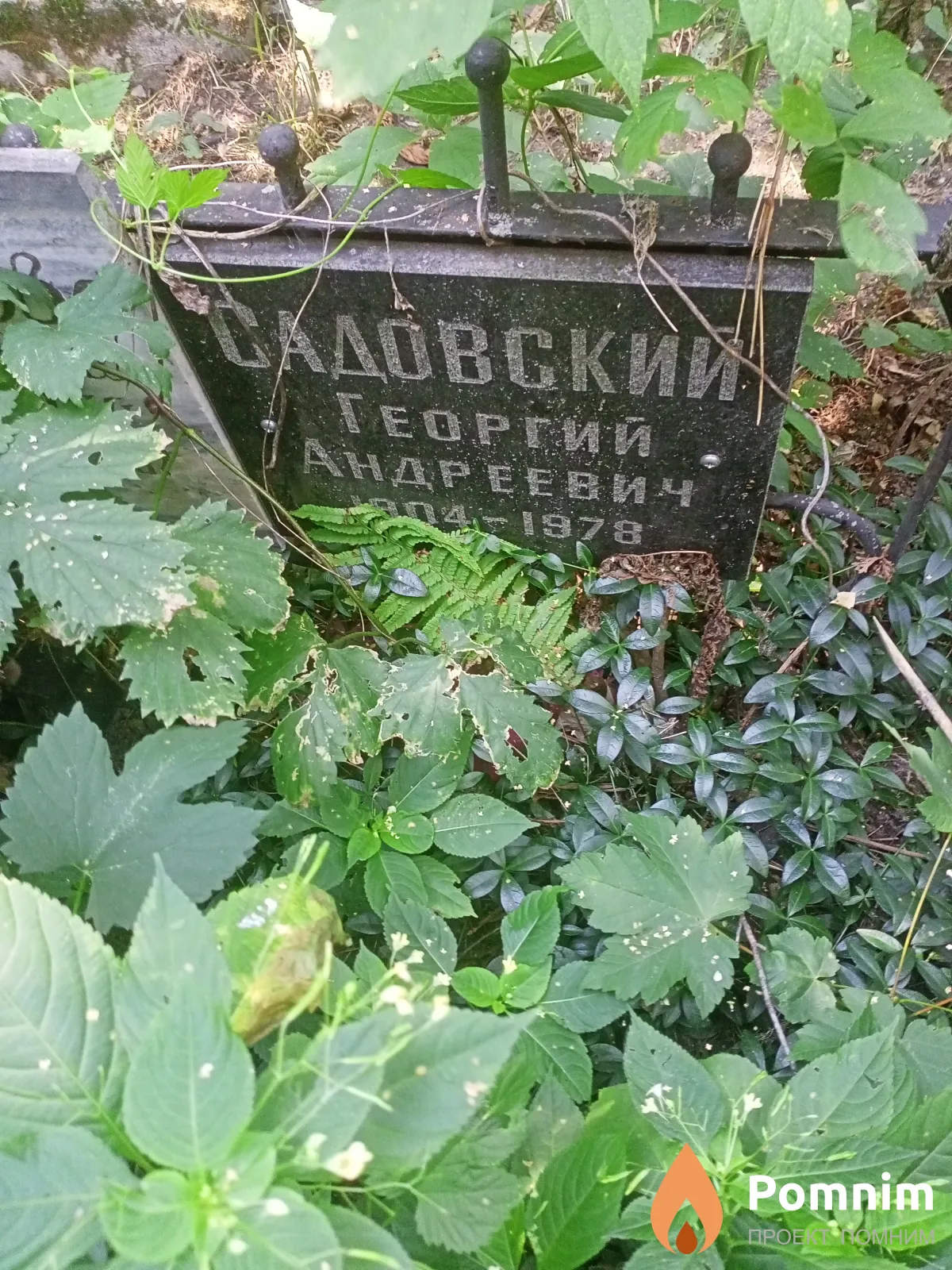 Садовский Георгий Андреевич