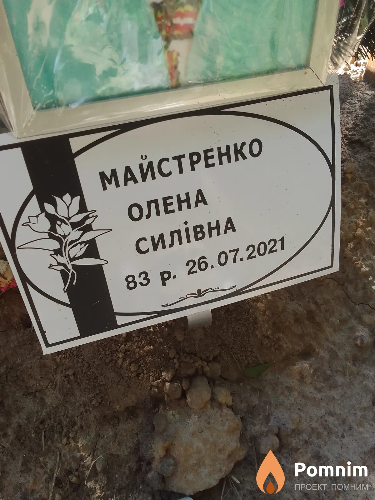 Майстренко Олена Силінова