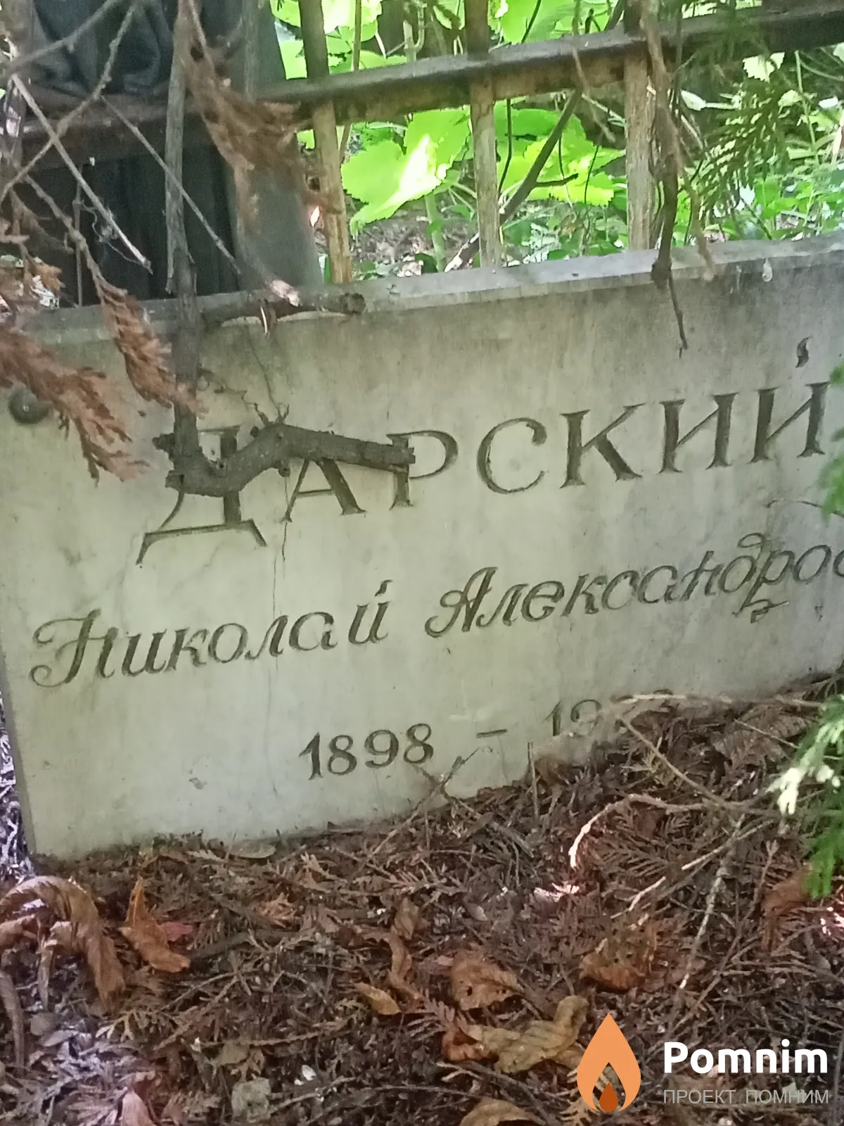 Дарский Николай Александрович