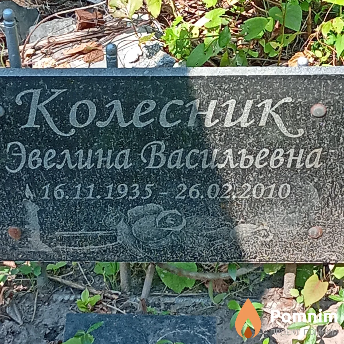 Колесник Эвелина Васильевна