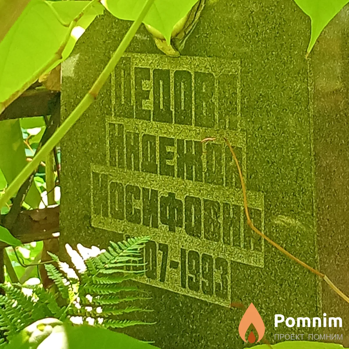 Дедова Надежда Иосифовна