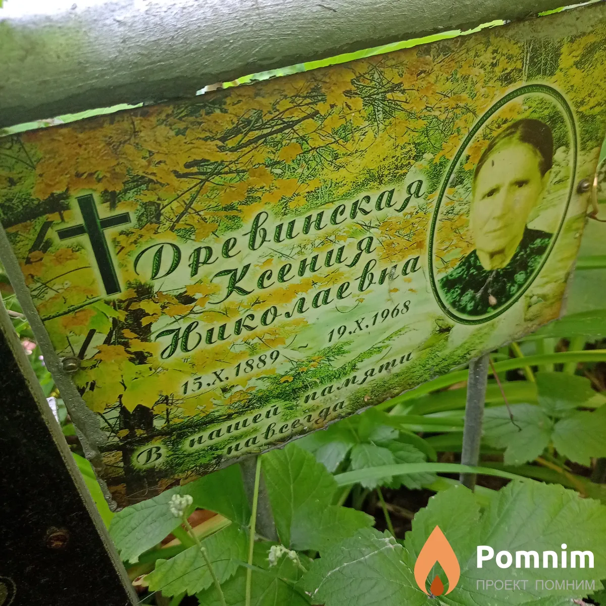 Доевинская Ксения Николаевна