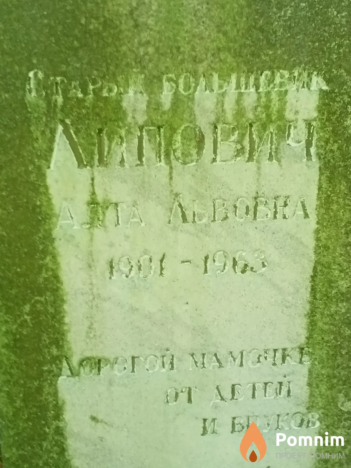 Липович Алта Львовна