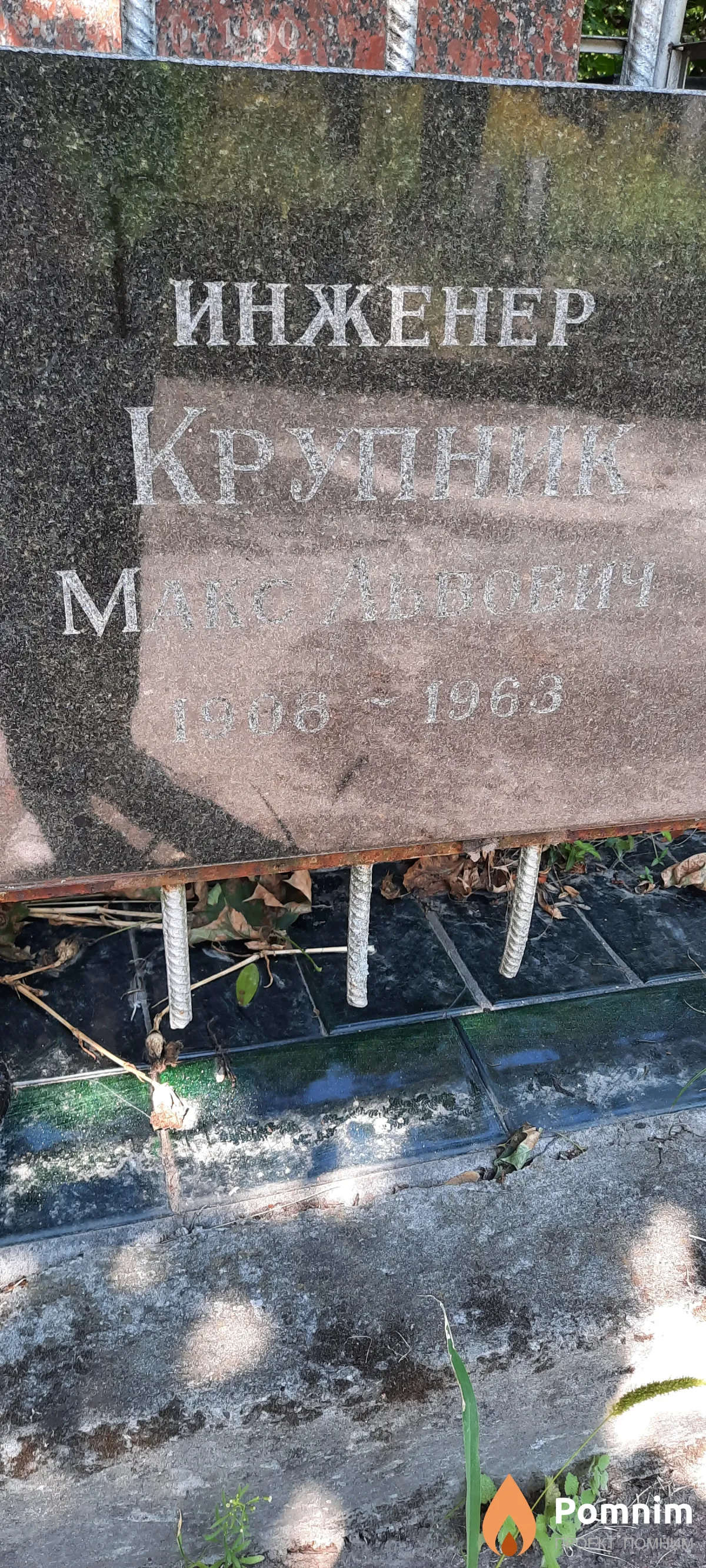 Крупник Макс Львович