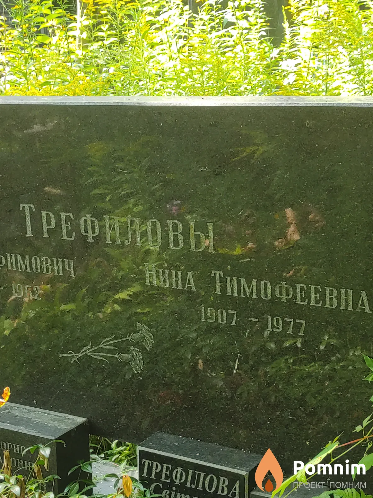 Трефилова Нина Тимофеевна