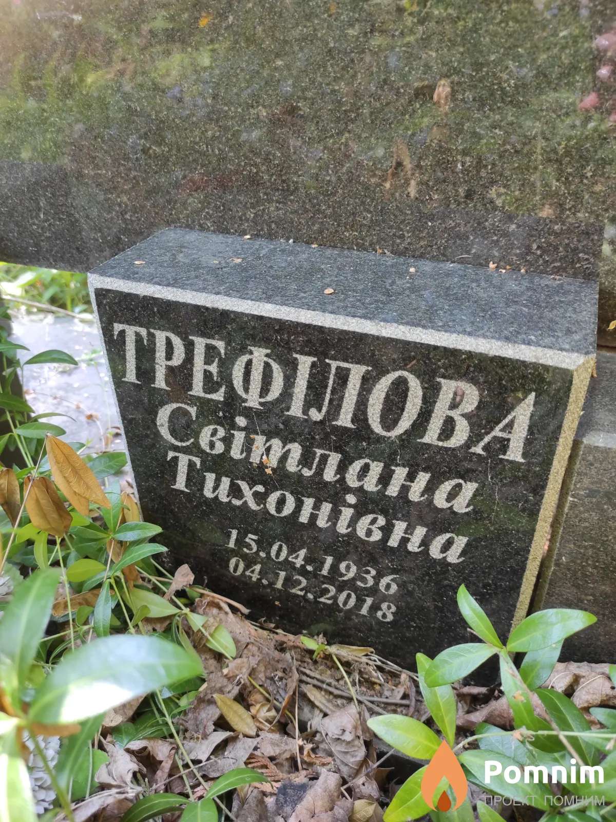 Трефиілова Світлана Тихонівна