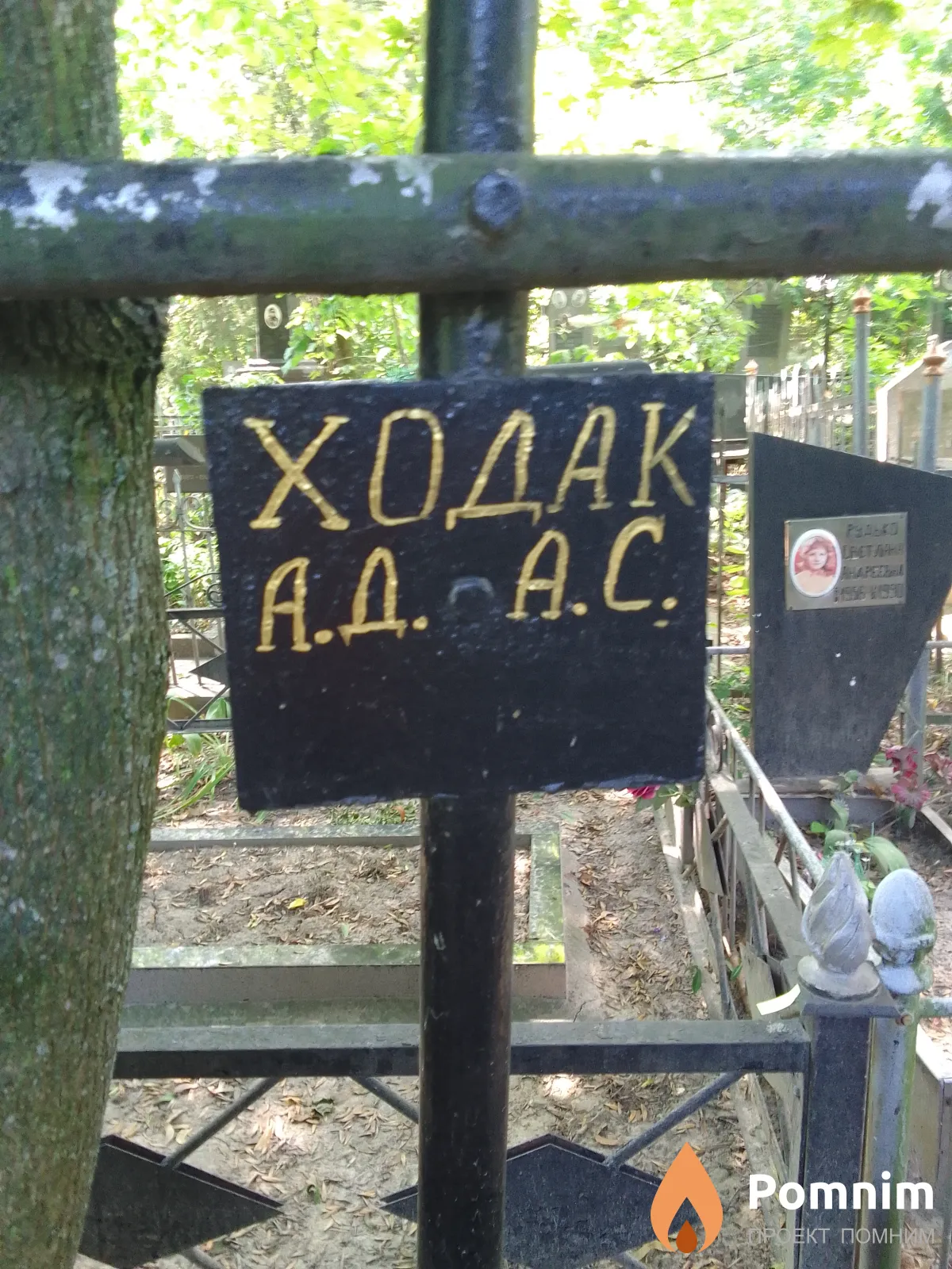 Ходак А С