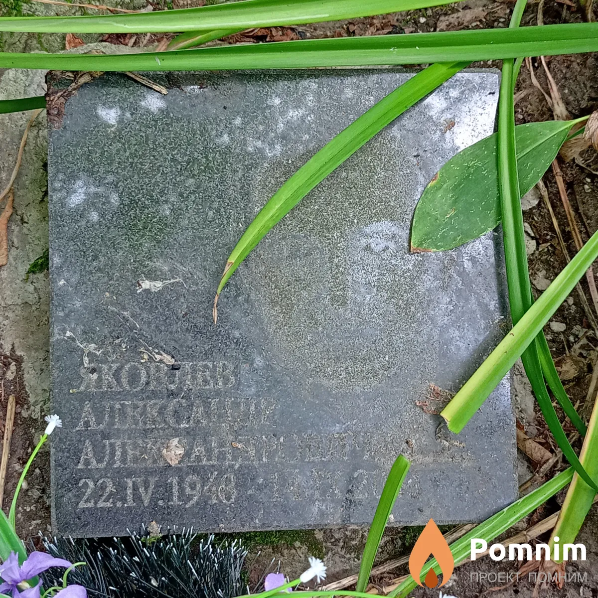 Яковоев Александр Александрович