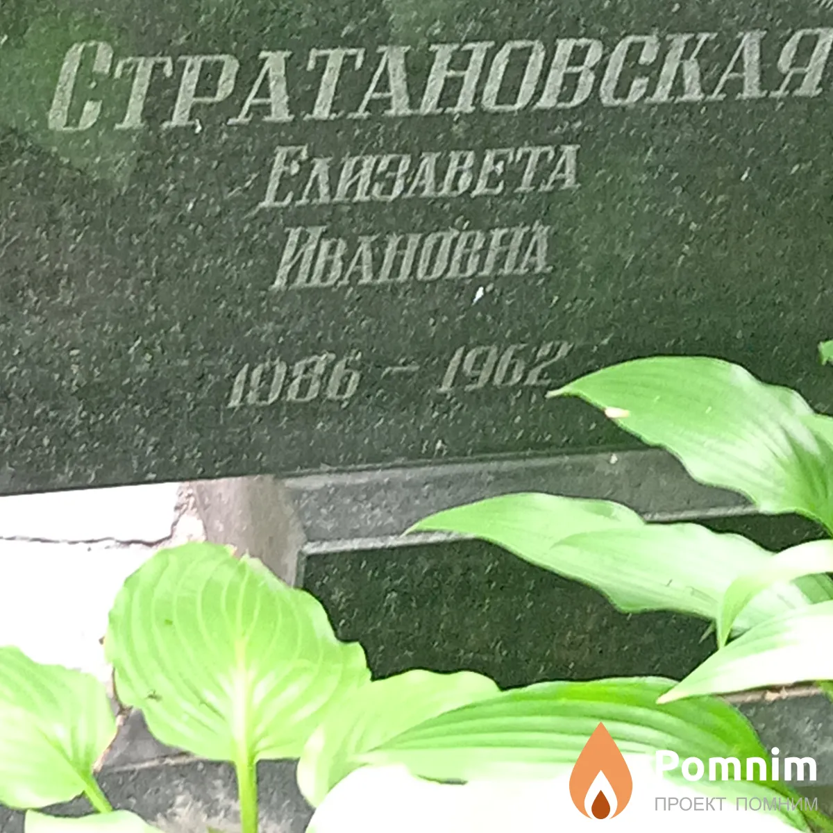 Стратановская Елизавета Ивановна