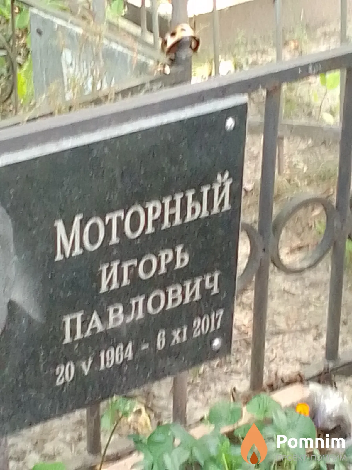Моторный Игорь Павлович
