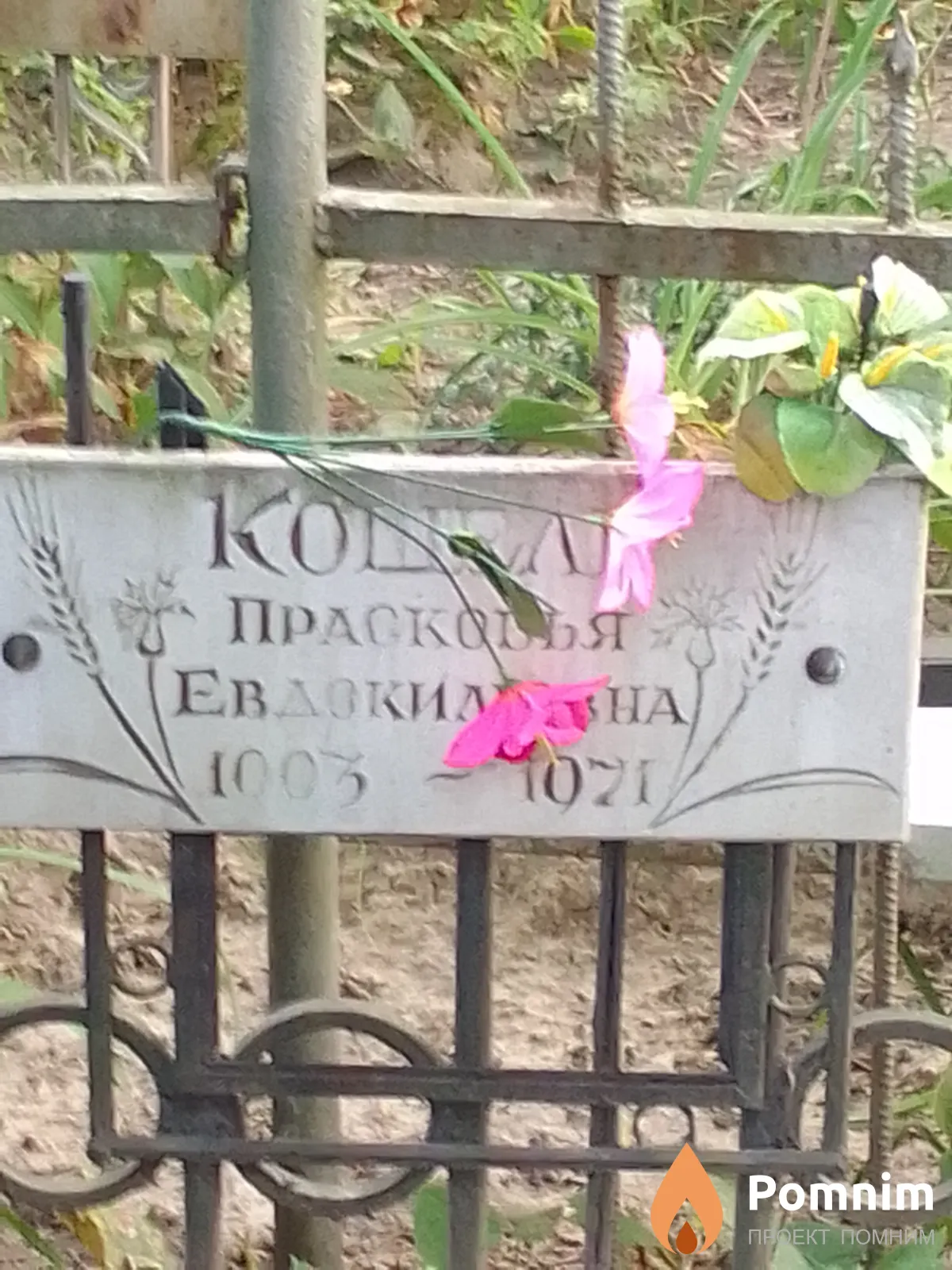 Кошель Прасковья Евдокимовна